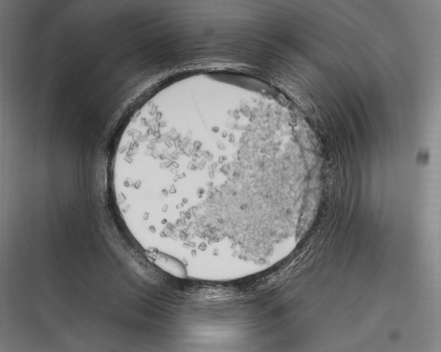 X0000116780350201001281219