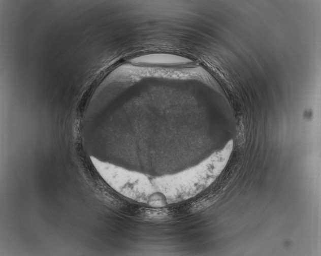 X0000116780355201001281219