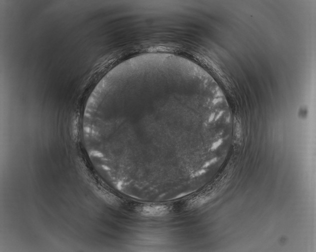 X0000116780357201001281219