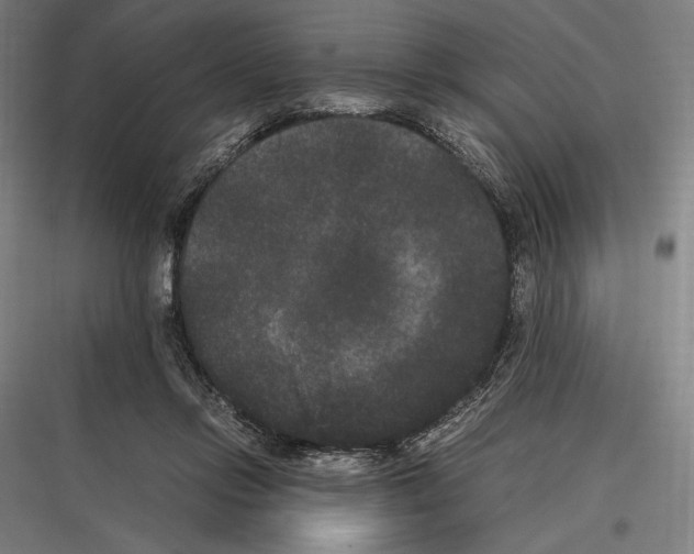 X0000116780358201001281219