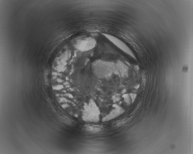 X0000116780359201001281219