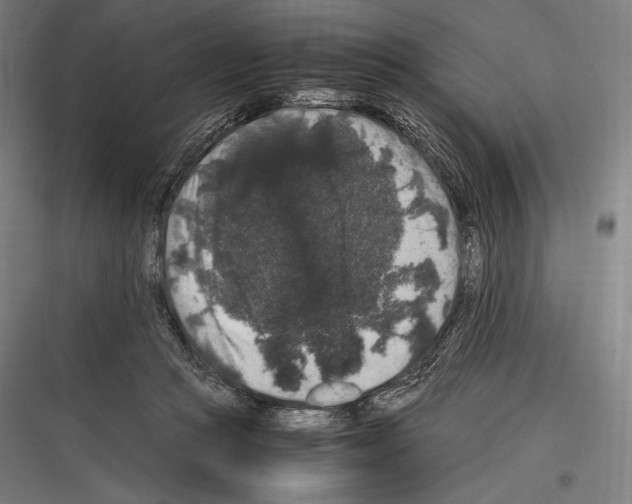 X0000116780361201001281219