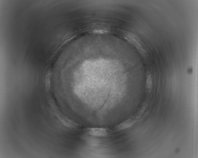 X0000116780363201001281219