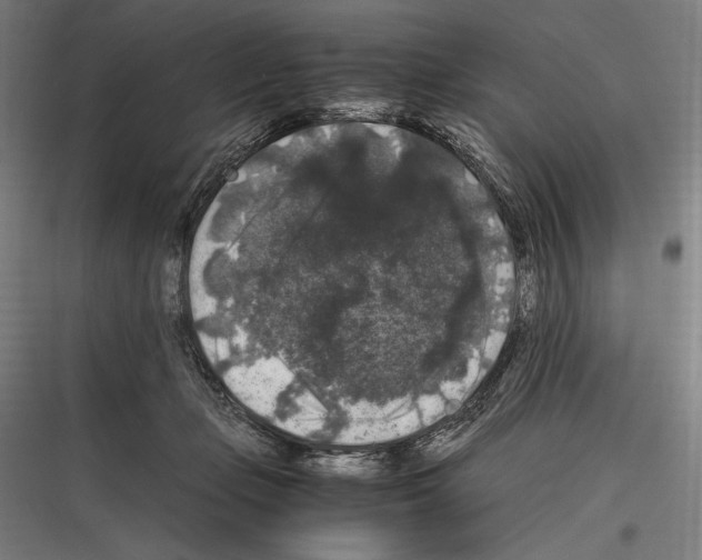 X0000116780365201001281219