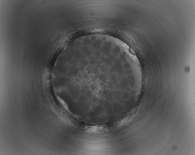 X0000116780366201001281219