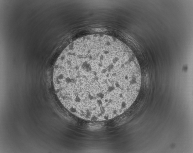 X0000116780373201001281219