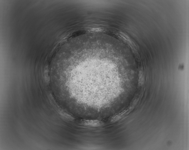 X0000116780377201001281219