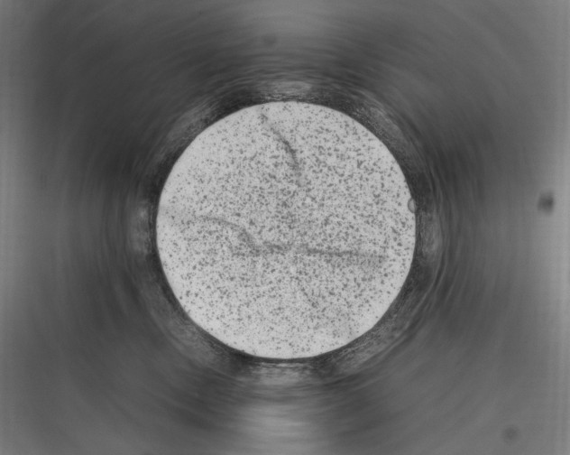 X0000116780378201001281219