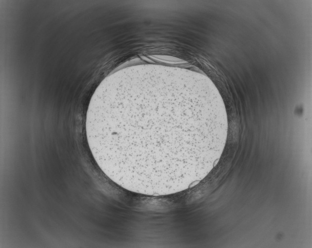 X0000116780379201001281219