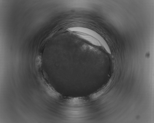 X0000116780382201001281219