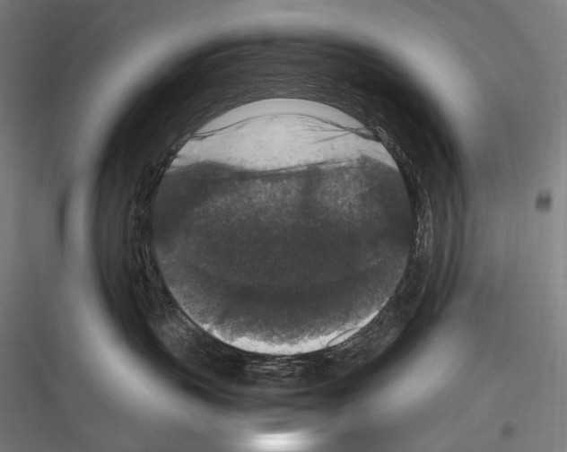 X0000116780383201001281219