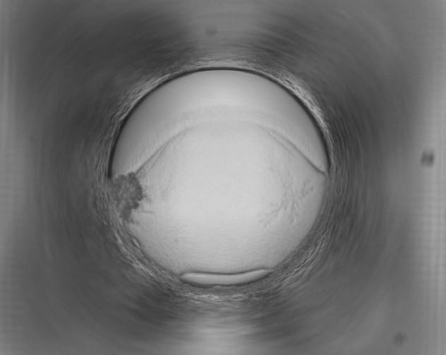 X0000116780385201001281219