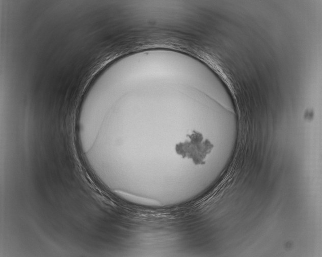 X0000116780386201001281219