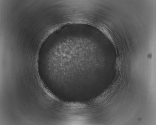 X0000116780389201001281219