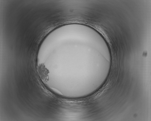 X0000116780393201001281219