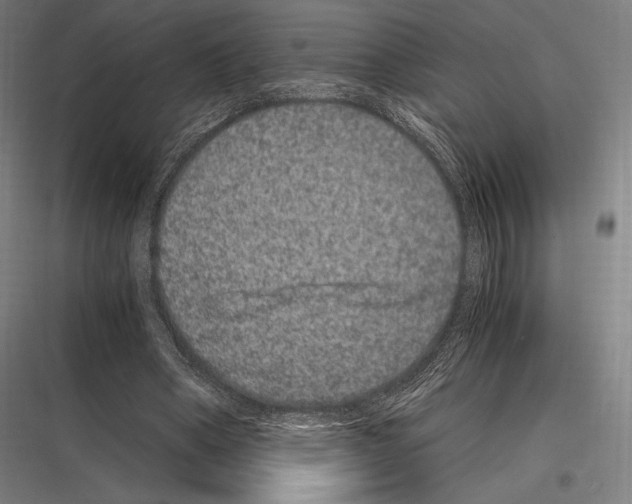 X0000116780394201001281219