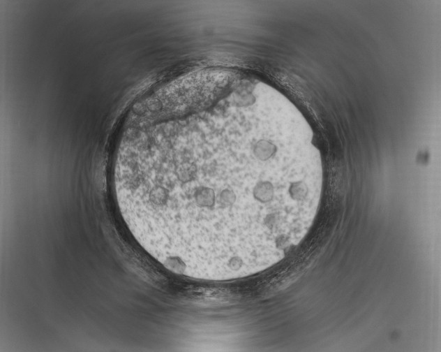 X0000116780395201001281219