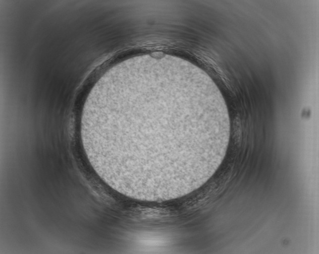 X0000116780400201001281219