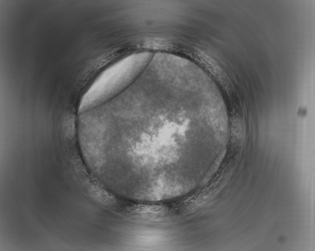 X0000116780401201001281219