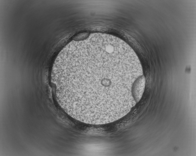 X0000116780403201001281219