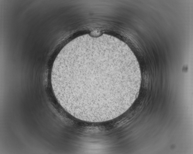 X0000116780404201001281219