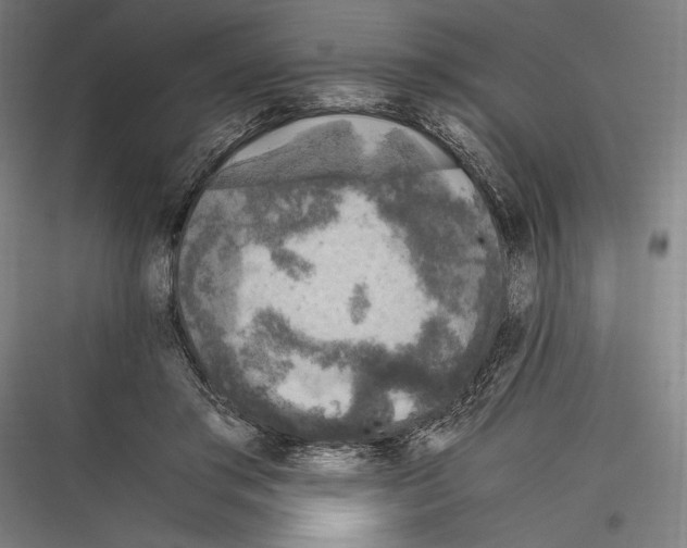 X0000116780405201001281219