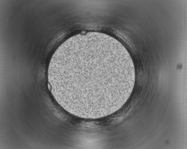 X0000116780407201001281218