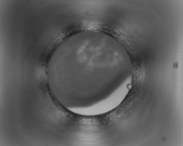 X0000116780415201001281218