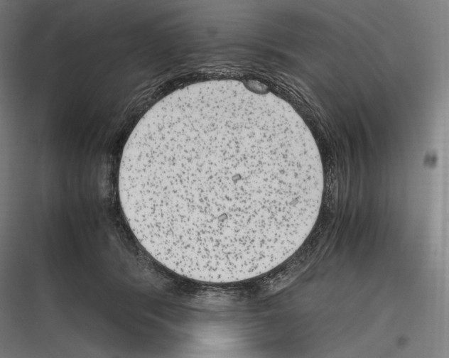 X0000116780416201001281218