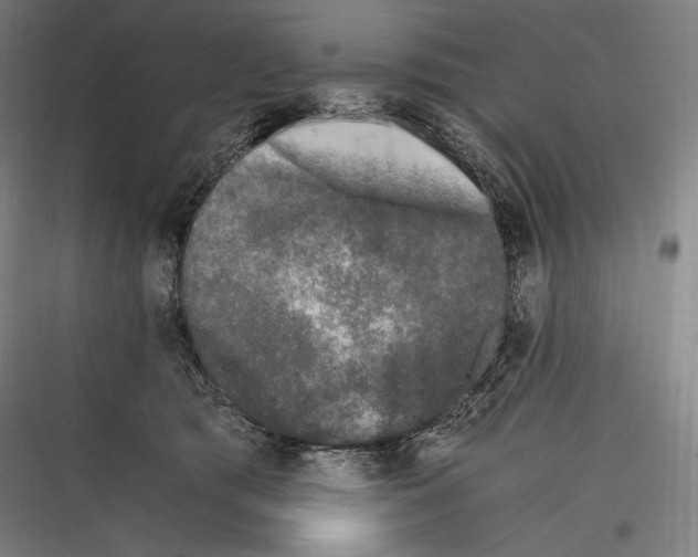 X0000116780417201001281218