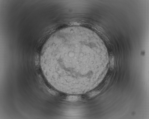 X0000116780418201001281218