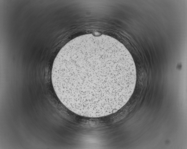 X0000116780420201001281218