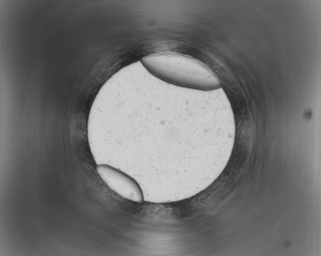 X0000116780421201001281218