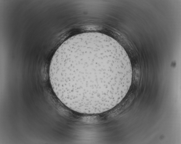 X0000116780422201001281218