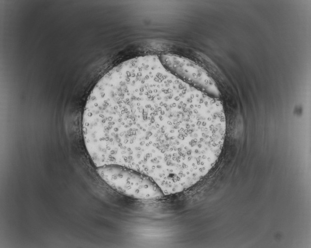 X0000116780425201001281218