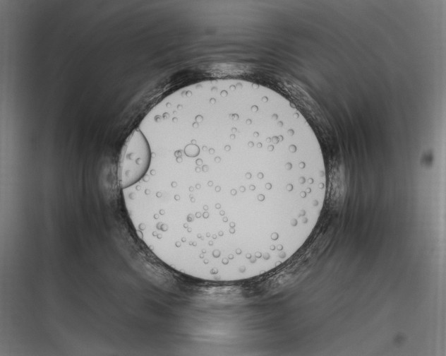 X0000116780426201001281218