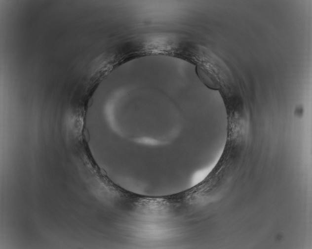 X0000116780427201001281218