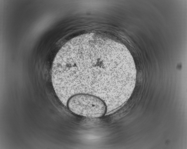 X0000116780429201001281218