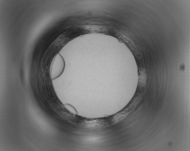 X0000116780430201001281218