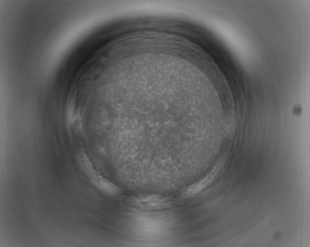 X0000116780431201001281218