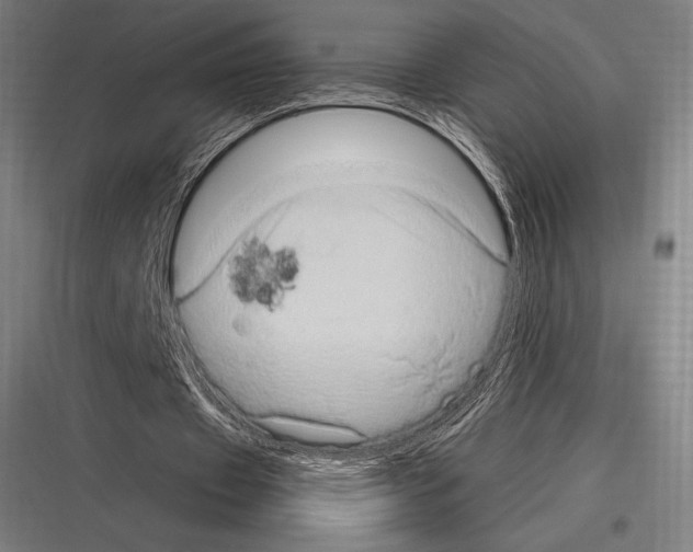 X0000116780433201001281217