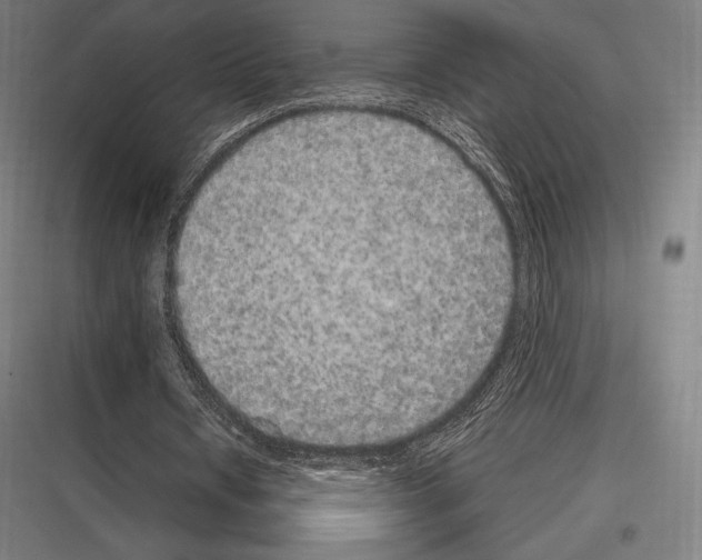 X0000116780434201001281218