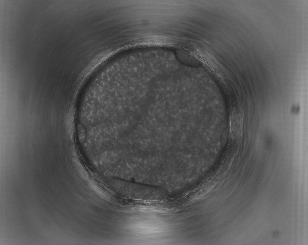 X0000116780436201001281218