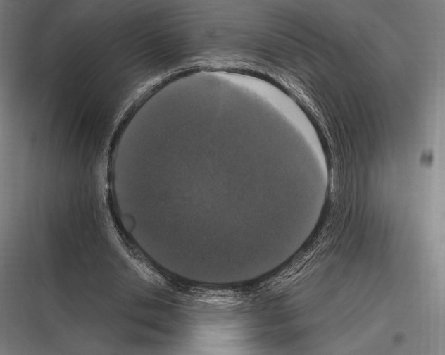 X0000116780438201001281218