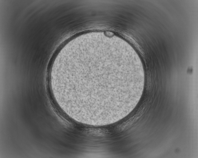 X0000116780439201001281218