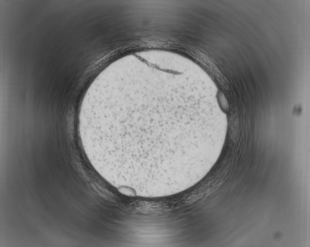 X0000116780442201001281218