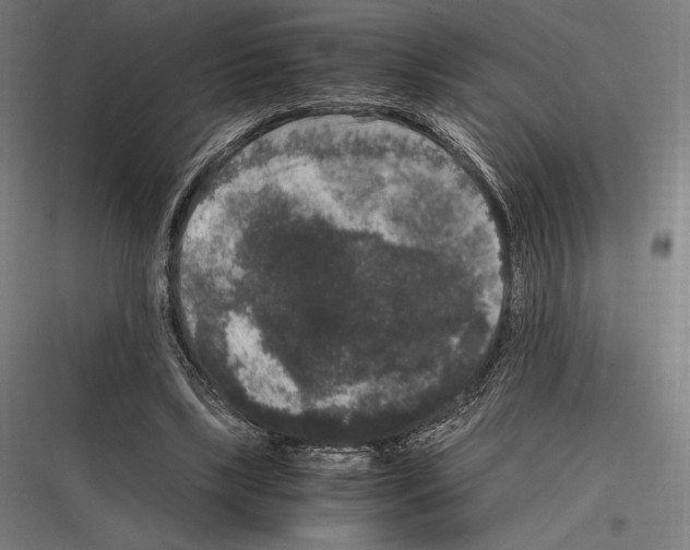 X0000116780443201001281218