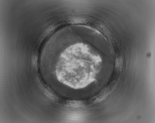 X0000116780444201001281218