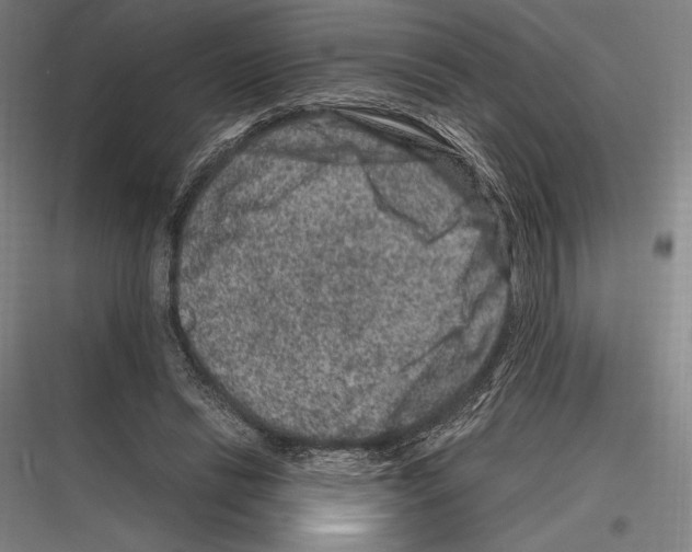 X0000116780446201001281218