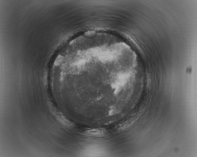 X0000116780447201001281218